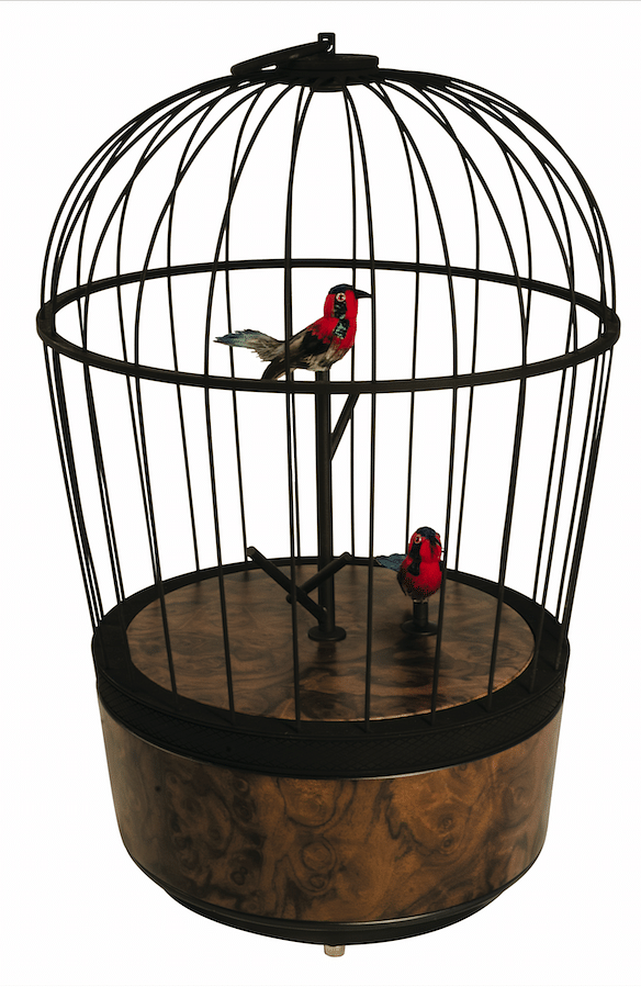 bird and bird cage