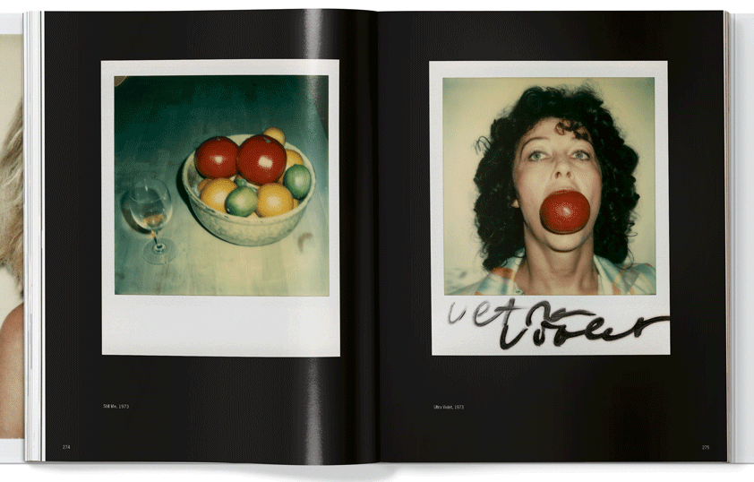 Andy Warhol Polaroids 2015 Ultra Violet