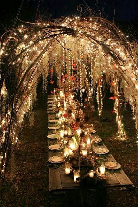 pretty fairy lights