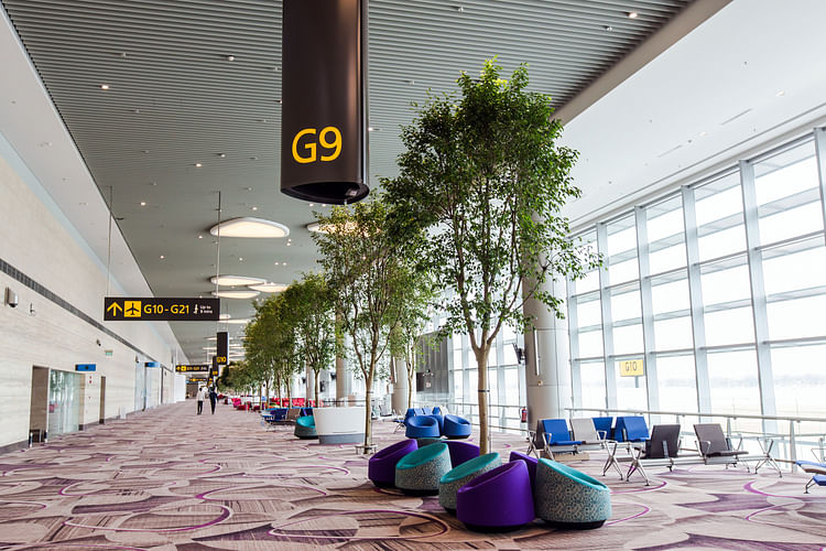 In Pics: A first look at Changi Airport's high-tech, swanky Terminal 4