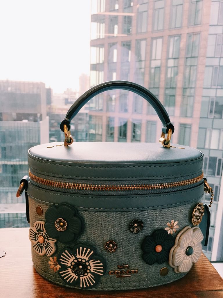 Coach sale vanity bag