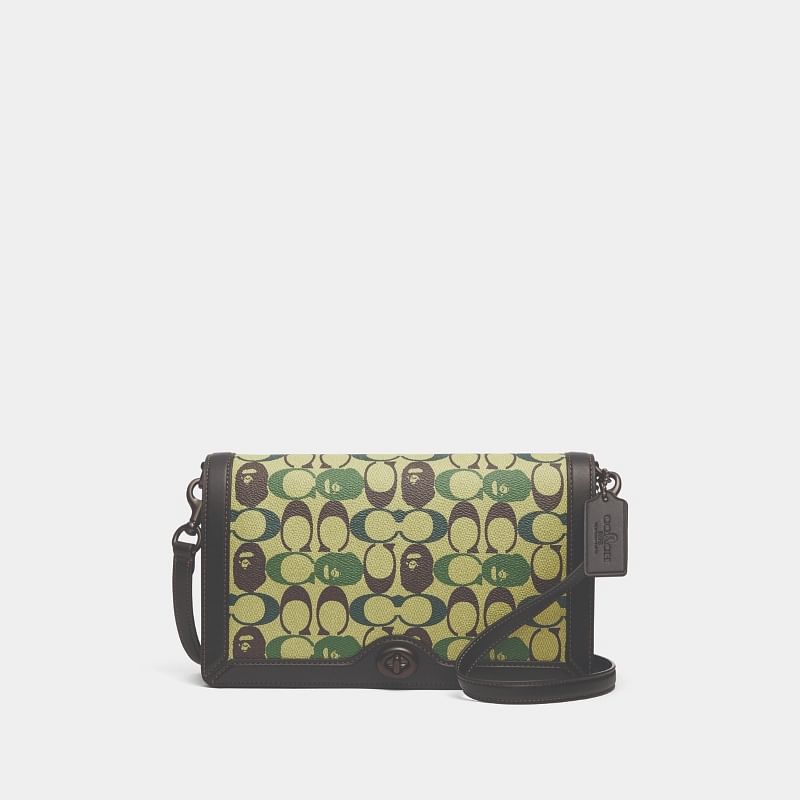 bape x coach crossbody bag