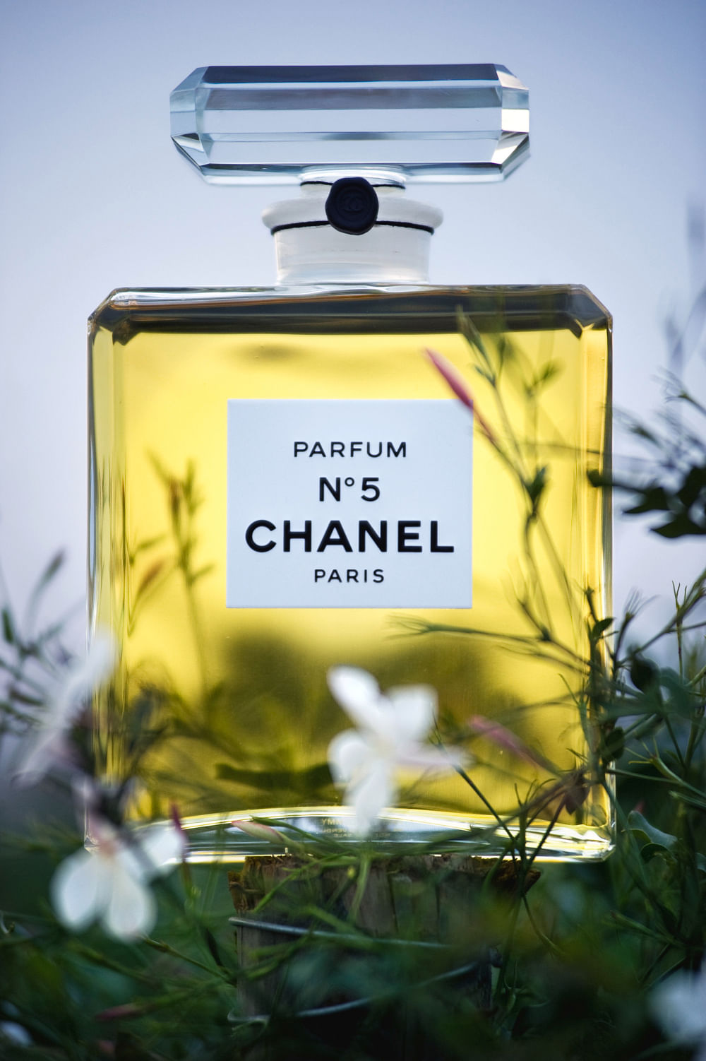 mademoiselle chanel no 5 perfume