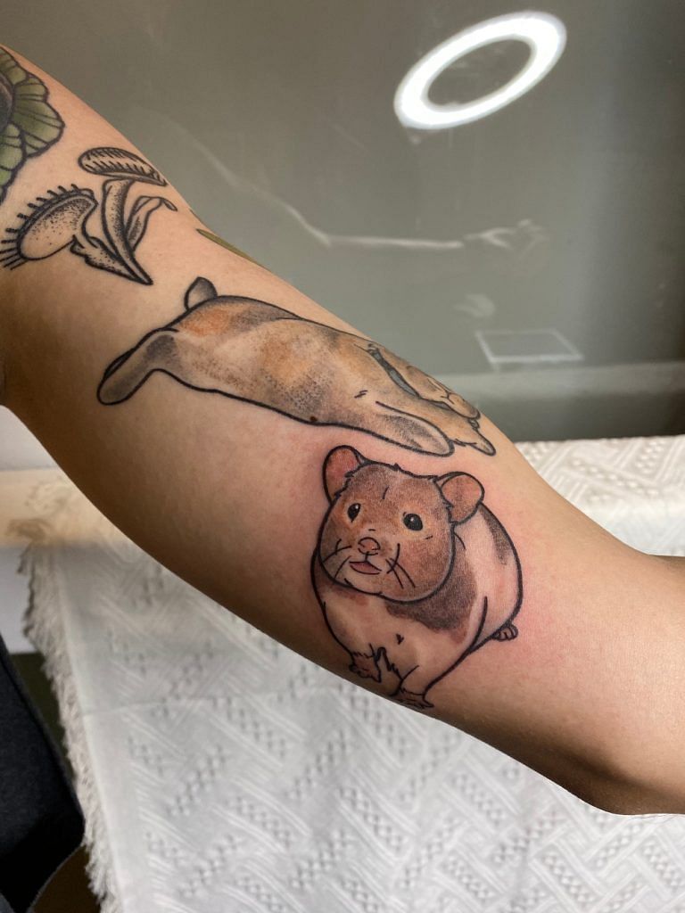 Wim Delvoye  Tattooed Pig 1996  MutualArt