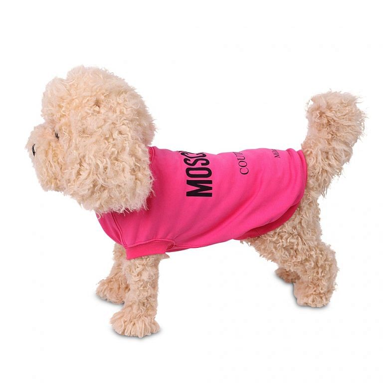 moschino dog clothes