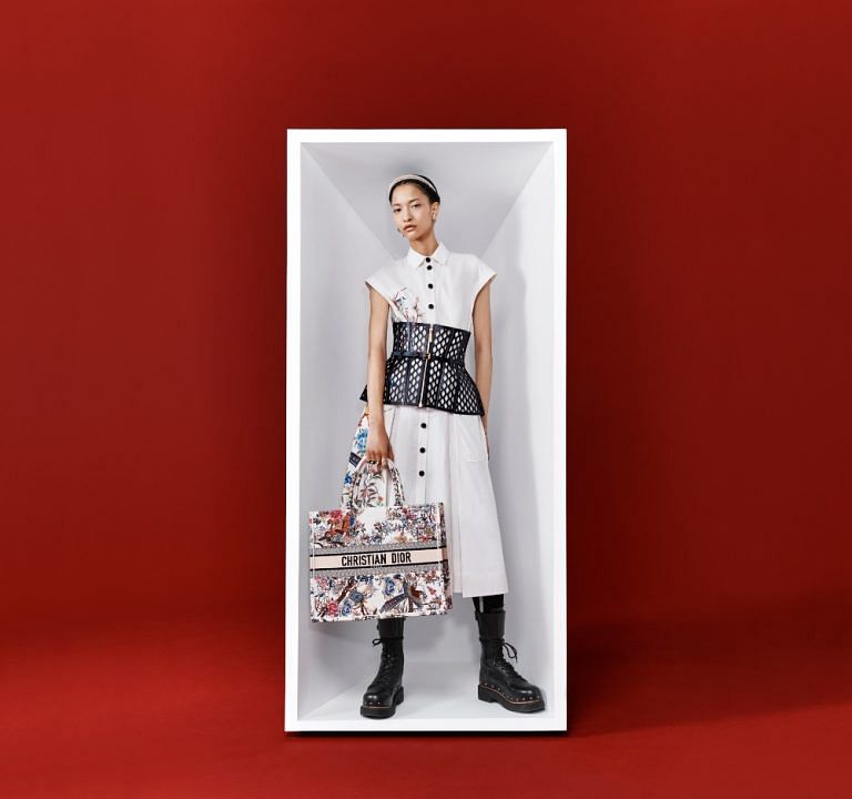 Christian dior sale tote bag 2019