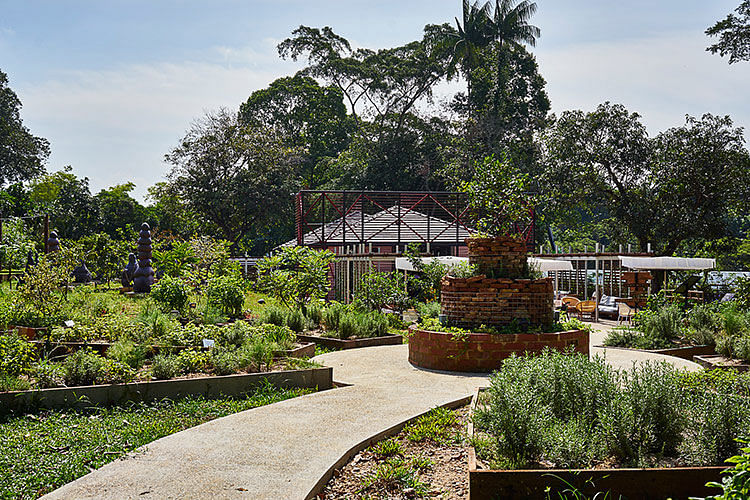 open farm community herb garden