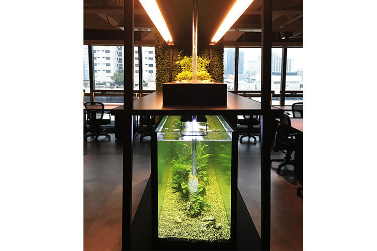 Expect playful elements like an aquaponics farm at Collision 8 (left). Its private booths, shrouded in artificial greenery for intimacy, is a seamless meld of design and functionality (opposite page).